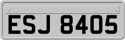 ESJ8405