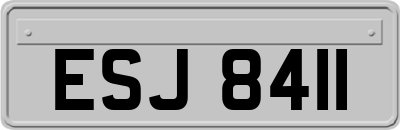 ESJ8411