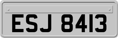 ESJ8413