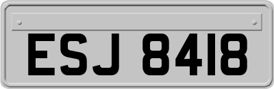 ESJ8418
