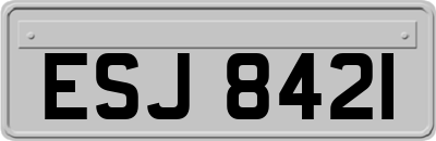 ESJ8421