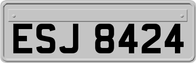 ESJ8424