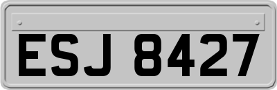 ESJ8427