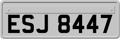 ESJ8447