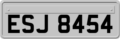 ESJ8454