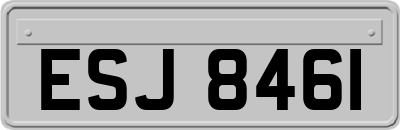 ESJ8461