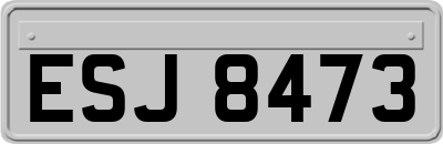 ESJ8473