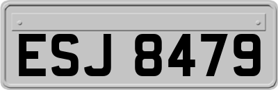 ESJ8479