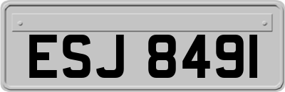 ESJ8491