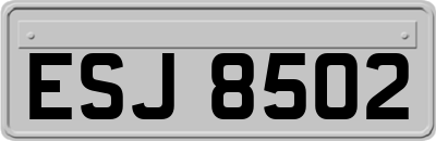 ESJ8502