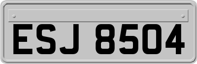 ESJ8504