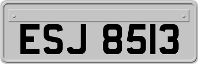 ESJ8513