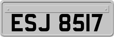 ESJ8517