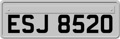 ESJ8520