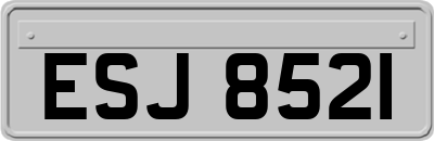 ESJ8521