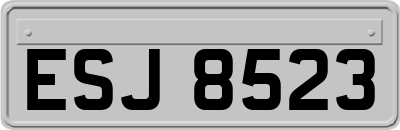 ESJ8523