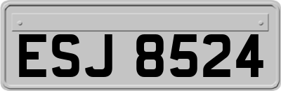 ESJ8524