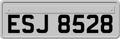 ESJ8528