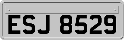 ESJ8529