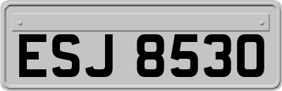ESJ8530