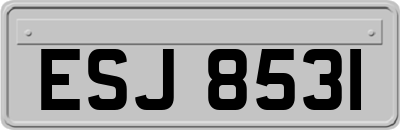 ESJ8531