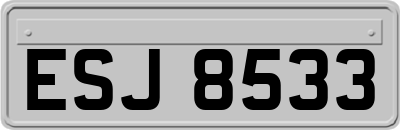 ESJ8533