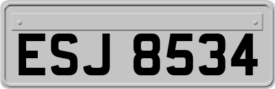 ESJ8534