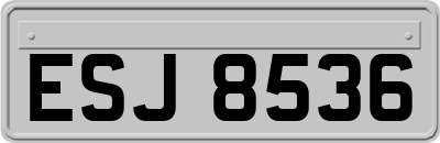 ESJ8536