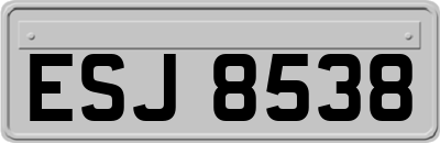 ESJ8538