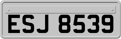 ESJ8539