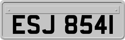 ESJ8541