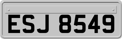 ESJ8549