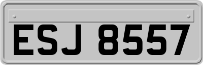 ESJ8557