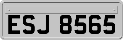 ESJ8565