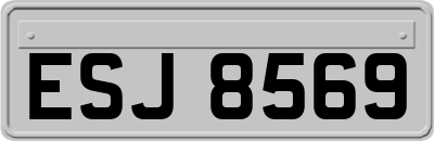 ESJ8569