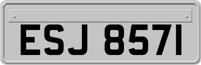ESJ8571