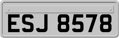ESJ8578