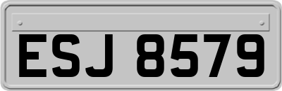 ESJ8579
