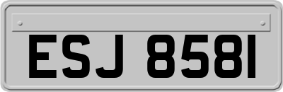 ESJ8581