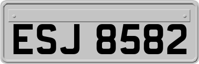 ESJ8582