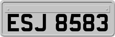 ESJ8583