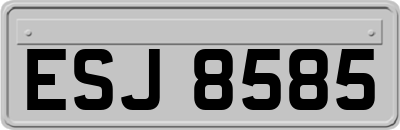 ESJ8585