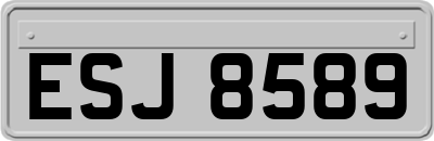 ESJ8589