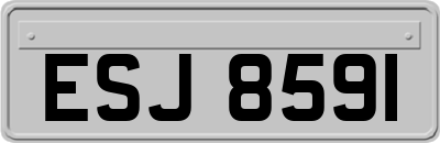 ESJ8591