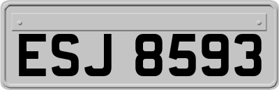 ESJ8593
