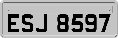 ESJ8597