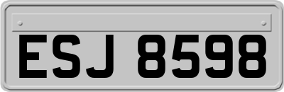 ESJ8598