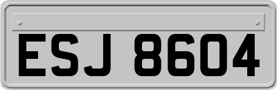 ESJ8604