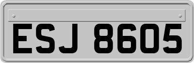 ESJ8605