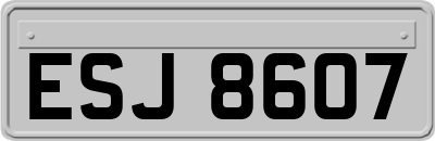 ESJ8607